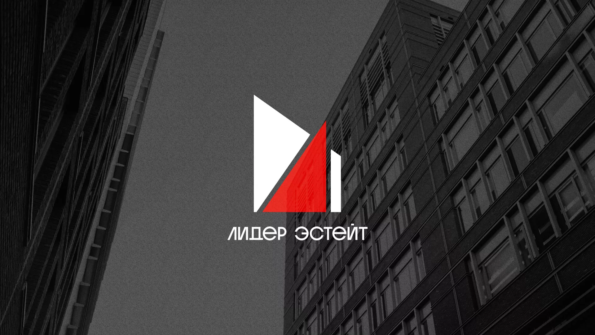 Сделали логотип для агентства недвижимости «Лидер Эстейт» в Порхове